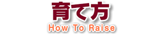 育て方 How To Raise
