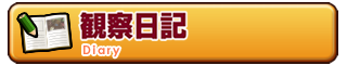 日記 Diary